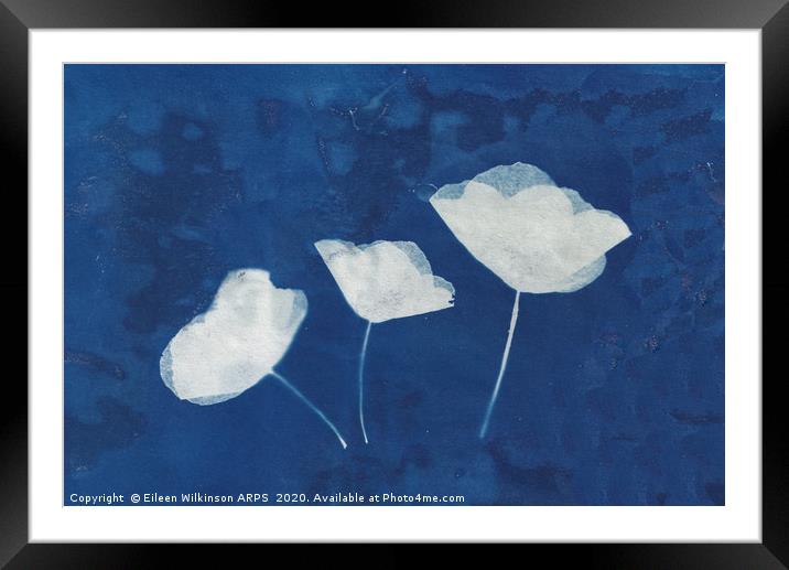 Poppies  Framed Mounted Print by Eileen Wilkinson ARPS EFIAP