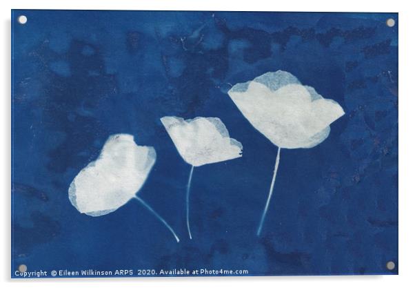 Poppies  Acrylic by Eileen Wilkinson ARPS EFIAP