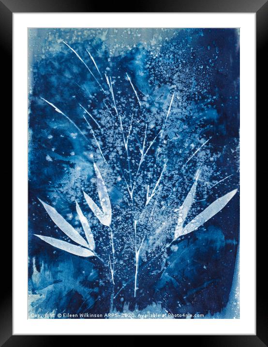 Blue Bamboo Framed Mounted Print by Eileen Wilkinson ARPS EFIAP