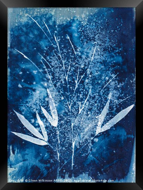 Blue Bamboo Framed Print by Eileen Wilkinson ARPS EFIAP