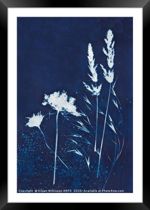 Blue grasses Framed Mounted Print by Eileen Wilkinson ARPS EFIAP