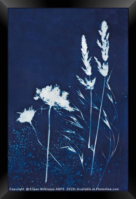 Blue grasses Framed Print by Eileen Wilkinson ARPS EFIAP