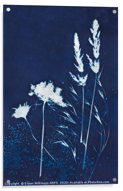 Blue grasses Acrylic by Eileen Wilkinson ARPS EFIAP
