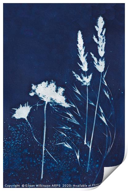 Blue grasses Print by Eileen Wilkinson ARPS EFIAP