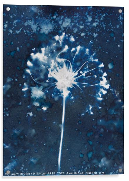 Blue Seedhead Acrylic by Eileen Wilkinson ARPS EFIAP