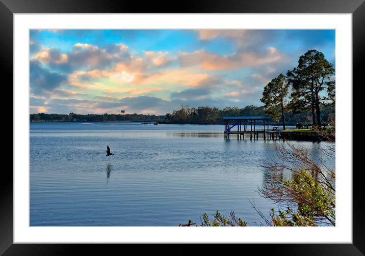 Lone Pelican at Dawn Framed Mounted Print by Darryl Brooks
