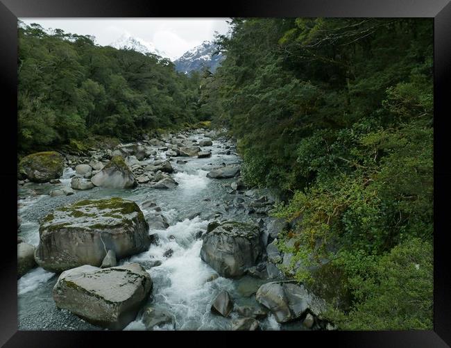 Mountain stream, Hokitika, New Zealand Framed Print by Martin Smith