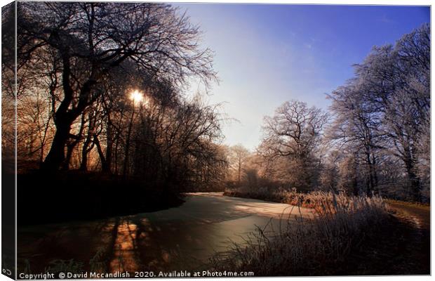        Frozen Forth and Clyde Canal  (2)           Canvas Print by David Mccandlish