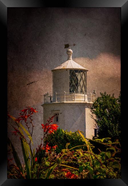 Lizard Lighthouse Framed Print by Gary Schulze