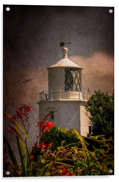 Lizard Lighthouse Acrylic by Gary Schulze