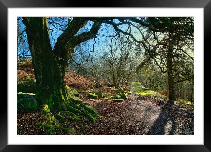Bolehill Quarry Framed Mounted Print by Alison Chambers