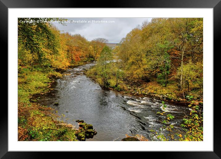 The River Wharfe Bolton Abbey Framed Mounted Print by Diana Mower