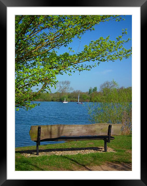 A sit by the lake Framed Mounted Print by kelly Draper