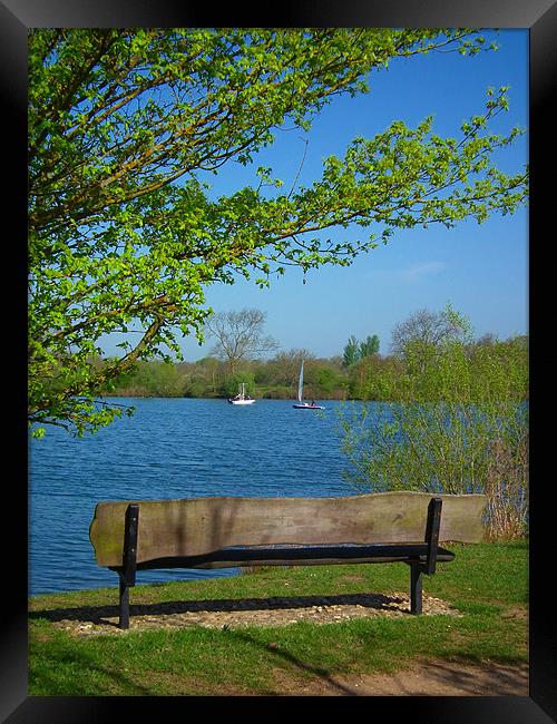A sit by the lake Framed Print by kelly Draper