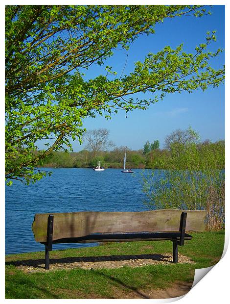A sit by the lake Print by kelly Draper