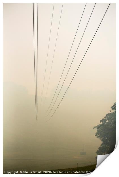 Powerlines disappearing into bushfire smoke Print by Sheila Smart