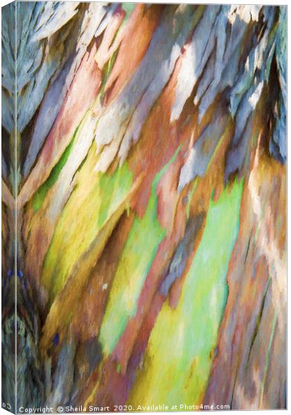Bark painting Canvas Print by Sheila Smart