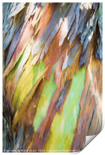 Bark painting Print by Sheila Smart