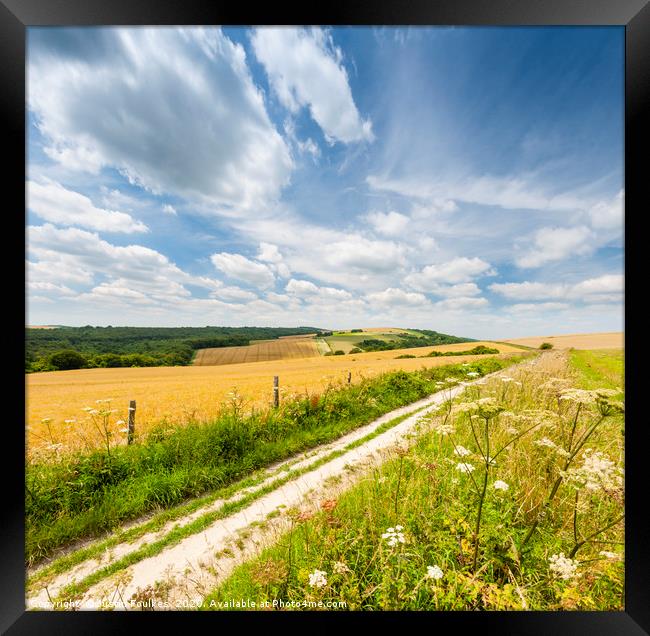 The South Downs Way near Bignor Hill  Framed Print by Justin Foulkes