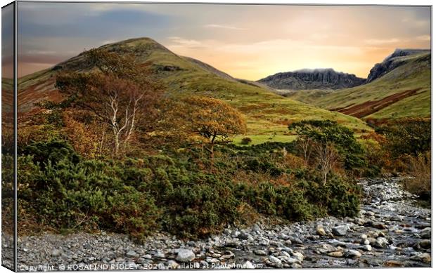 "Autumn foliage at the Scafell range" Canvas Print by ROS RIDLEY