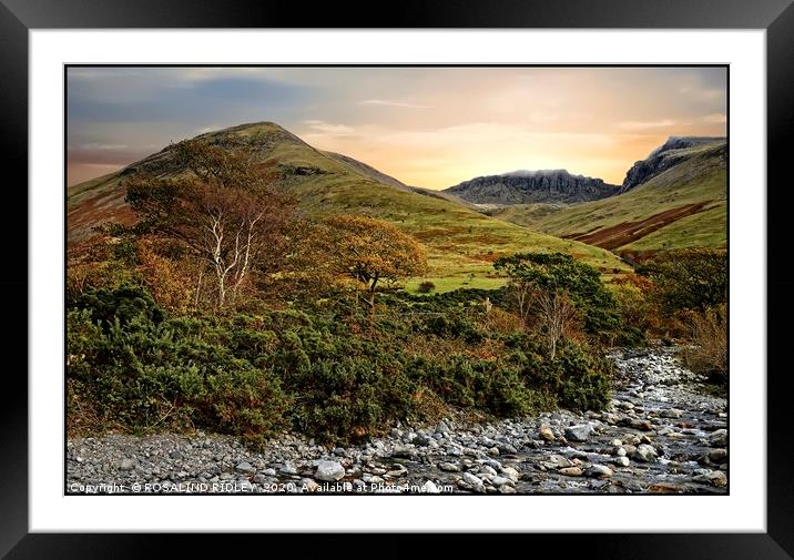 "Autumn foliage at the Scafell range" Framed Mounted Print by ROS RIDLEY