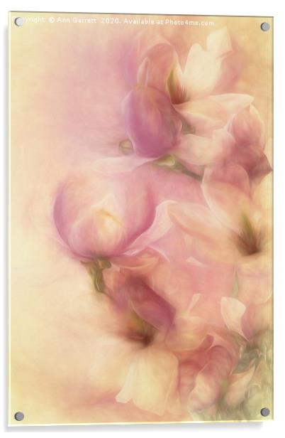 Magnolia Softness Acrylic by Ann Garrett