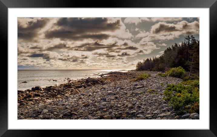 Liverpool View, Nova Scotia, Canada Framed Mounted Print by Mark Llewellyn