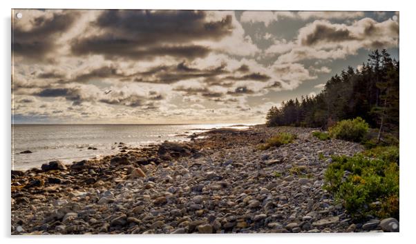 Liverpool View, Nova Scotia, Canada Acrylic by Mark Llewellyn
