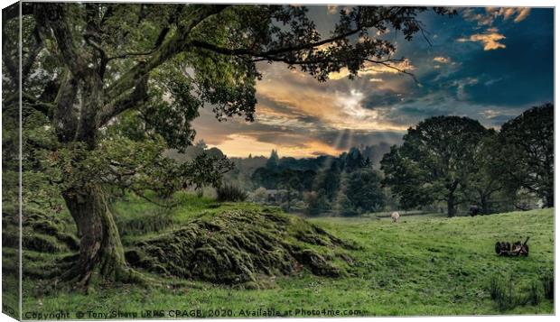 A PASTORAL SCENE IN THE LAKE DISTRICT Canvas Print by Tony Sharp LRPS CPAGB