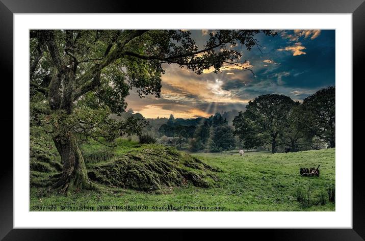 A PASTORAL SCENE IN THE LAKE DISTRICT Framed Mounted Print by Tony Sharp LRPS CPAGB