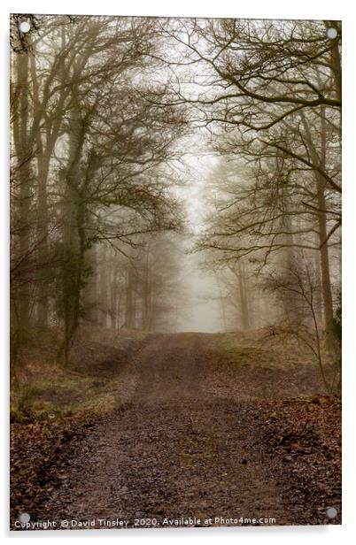Towards Beechenhurst Acrylic by David Tinsley