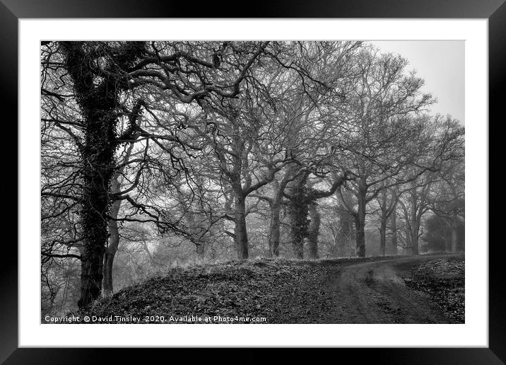 Along the Speculation Trail Framed Mounted Print by David Tinsley