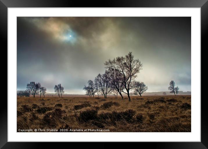 A misty Winter morning on Leash Fen (7) Framed Mounted Print by Chris Drabble