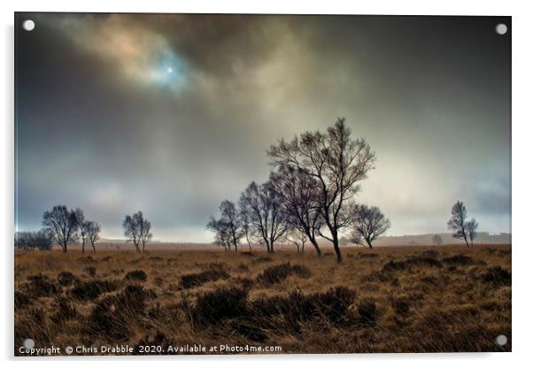 A misty Winter morning on Leash Fen (7) Acrylic by Chris Drabble