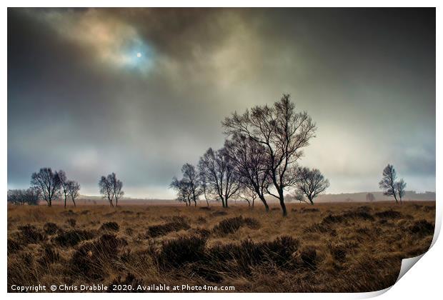 A misty Winter morning on Leash Fen (7) Print by Chris Drabble
