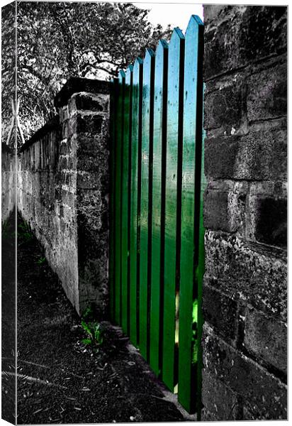 the green gate Canvas Print by Heather Newton