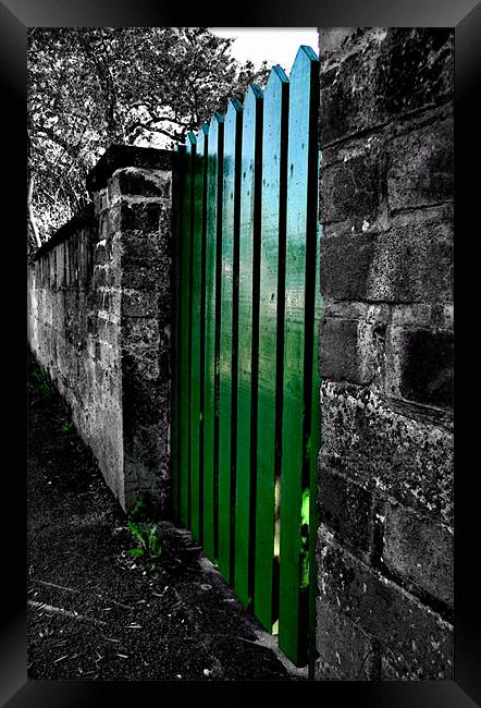 the green gate Framed Print by Heather Newton