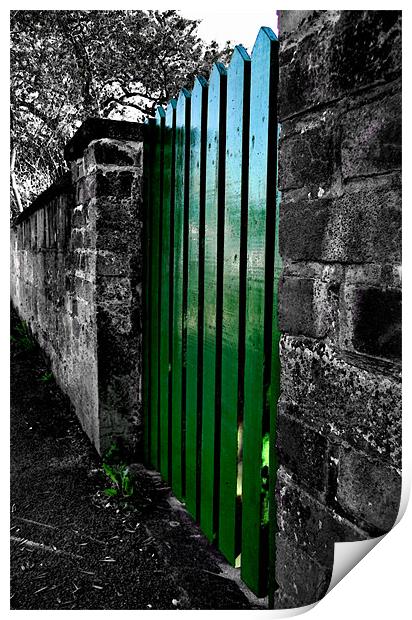 the green gate Print by Heather Newton