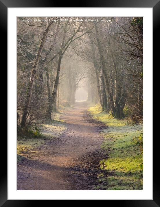 Enchanting pathway through a tunnel of trees along Framed Mounted Print by Andrew Heaps