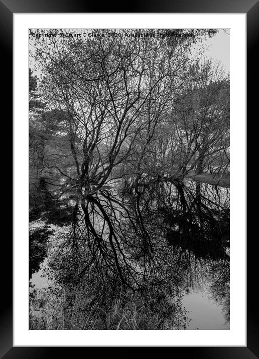 Tree reflections in a pond Framed Mounted Print by Stuart C Clarke