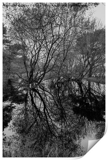 Tree reflections in a pond Print by Stuart C Clarke