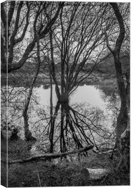 Pond reflections Canvas Print by Stuart C Clarke