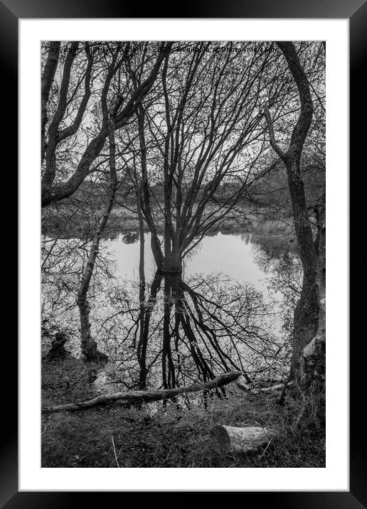Pond reflections Framed Mounted Print by Stuart C Clarke