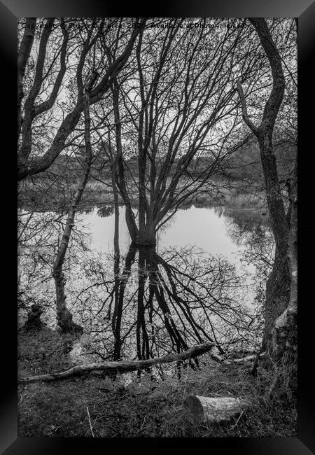 Pond reflections Framed Print by Stuart C Clarke