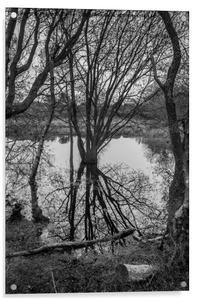 Pond reflections Acrylic by Stuart C Clarke