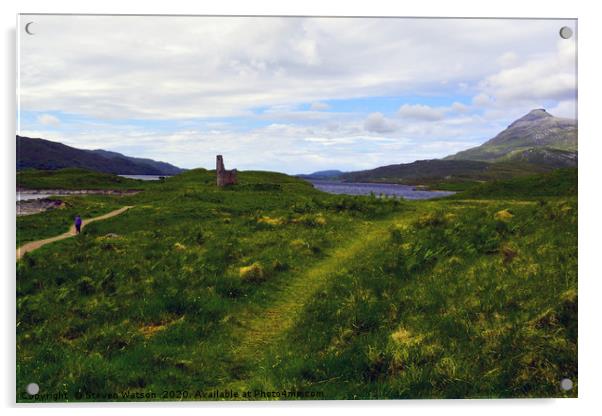 Ardvreck Castle and Quinag Acrylic by Steven Watson
