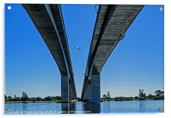 Sir Leo Hielscher Bridges And Plane Acrylic by Shaun Carling