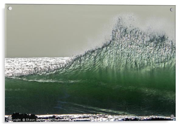 Wave At Snapper Rocks Acrylic by Shaun Carling