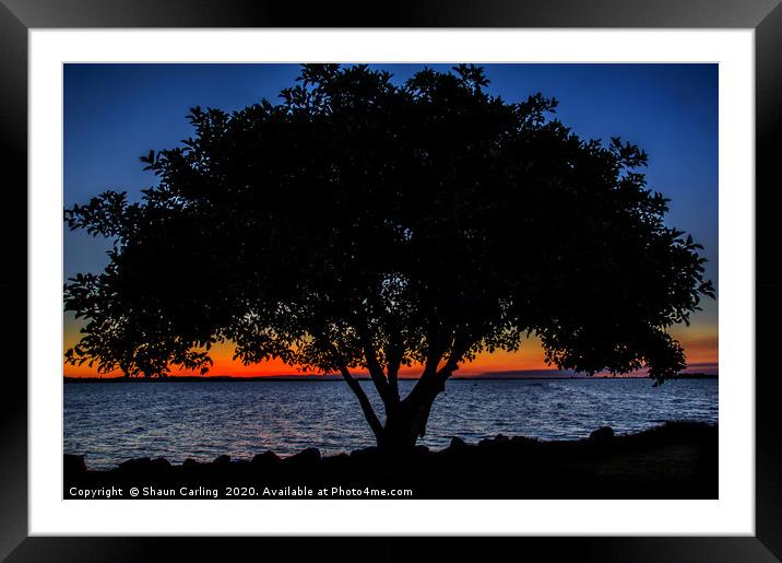 Sunset At Wellington Point Framed Mounted Print by Shaun Carling