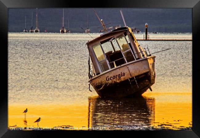 Boats & Birdie Sunrise Framed Print by Shaun Carling